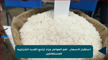 استقرار الأسعار.. أهم العوامل وراء تراجع القدرة الشرائية للمستهلكين